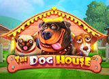 The Dog House - Rtp CUITOTO